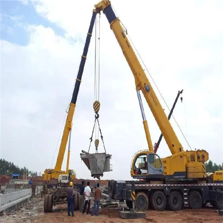 衡南小型吊机出租电话|厂房设备吊装方案|24小时服务覆盖